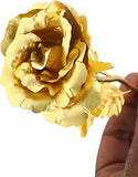 Load image into Gallery viewer, Webelkart Premium Plastic Valentine Gift for Girls Boys Girlfriend Boyfriend Husband Wife Love Couple Decorative 24K Gold Plated Artificial Rose Flower with Box (Gold, 10 Inches), Artificial Gold Rose