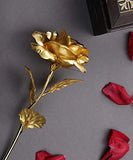 Load image into Gallery viewer, Webelkart Premium Plastic Valentine Gift for Girls Boys Girlfriend Boyfriend Husband Wife Love Couple Decorative 24K Gold Plated Artificial Rose Flower with Box (Gold, 10 Inches), Artificial Gold Rose